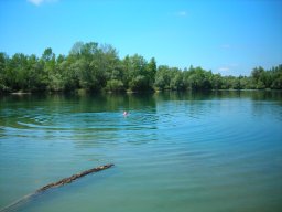 image09